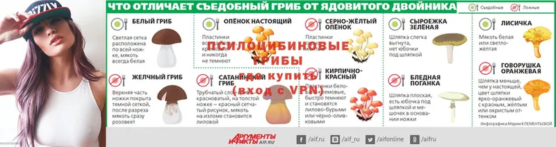 Псилоцибиновые грибы мухоморы  Советск 